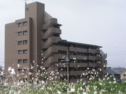 シャルマンコーポグランヒル三島